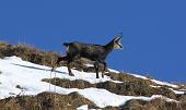 ZUC DI VALBONA ( VALLE IMAGNA ) giovedì 12 Novembre 2009 -  FOTOGALLERY